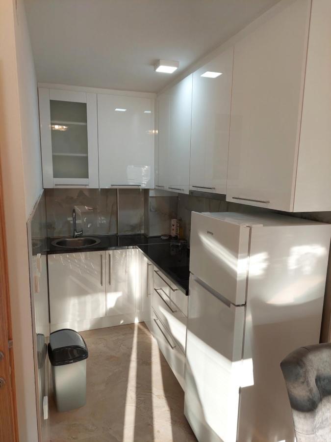 Vila Gajovic Apartment Pale Bagian luar foto