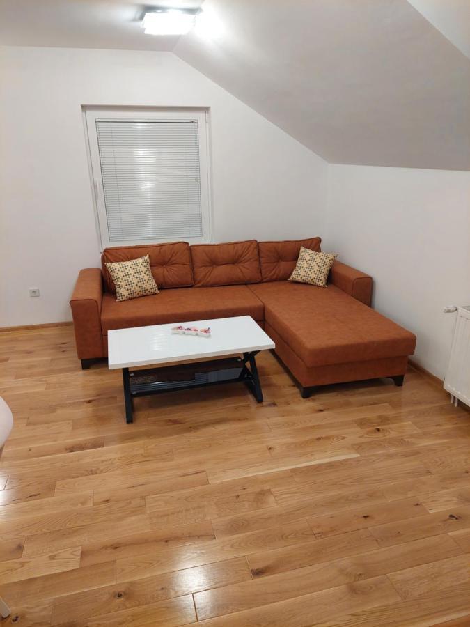 Vila Gajovic Apartment Pale Bagian luar foto